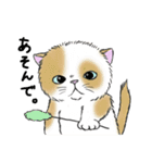 なぜか気になる猫（個別スタンプ：30）