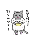 なぜか気になる猫（個別スタンプ：31）