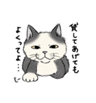 なぜか気になる猫（個別スタンプ：33）