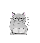 なぜか気になる猫（個別スタンプ：34）