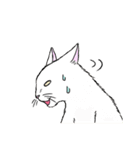 なぜか気になる猫（個別スタンプ：35）