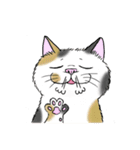 なぜか気になる猫（個別スタンプ：36）