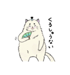 なぜか気になる猫（個別スタンプ：38）