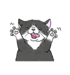 なぜか気になる猫（個別スタンプ：39）