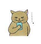 なぜか気になる猫（個別スタンプ：40）