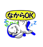 長野犬 長野県の方言と愛する犬たち。（個別スタンプ：5）