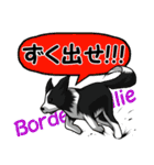 長野犬 長野県の方言と愛する犬たち。（個別スタンプ：10）