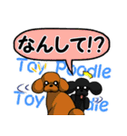 長野犬 長野県の方言と愛する犬たち。（個別スタンプ：11）