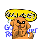 長野犬 長野県の方言と愛する犬たち。（個別スタンプ：12）