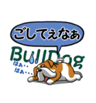 長野犬 長野県の方言と愛する犬たち。（個別スタンプ：17）