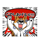 長野犬 長野県の方言と愛する犬たち。（個別スタンプ：28）