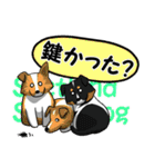 長野犬 長野県の方言と愛する犬たち。（個別スタンプ：37）