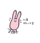 いつものうさぎさん。（個別スタンプ：12）