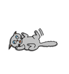 CAT INDY（個別スタンプ：5）