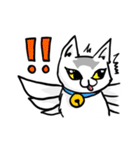 白猫天使 小雪（個別スタンプ：39）
