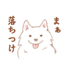 かわいい犬【ことばきつめ】（個別スタンプ：1）