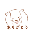 かわいい犬【ことばきつめ】（個別スタンプ：13）