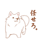 かわいい犬【ことばきつめ】（個別スタンプ：14）