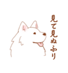 かわいい犬【ことばきつめ】（個別スタンプ：33）