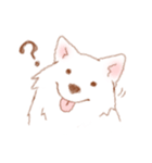 かわいい犬【ことばきつめ】（個別スタンプ：35）