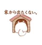 かわいい犬【ことばきつめ】（個別スタンプ：37）