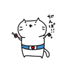 しろねこもちこ ぱーと4（個別スタンプ：11）