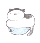 fat cat and blue bird（個別スタンプ：19）