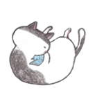 fat cat and blue bird（個別スタンプ：25）