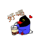 台湾国鳥『Cooちゃん』（個別スタンプ：9）