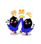 台湾国鳥『Cooちゃん』（個別スタンプ：11）