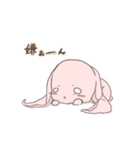 うさorうさ？（個別スタンプ：5）