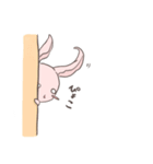 うさorうさ？（個別スタンプ：11）