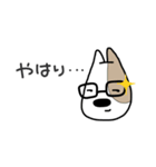 忠犬はなまる！（個別スタンプ：20）