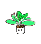 fleshy plant（個別スタンプ：8）