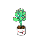 fleshy plant（個別スタンプ：18）