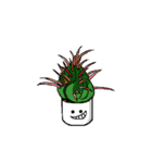 fleshy plant（個別スタンプ：32）
