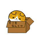 ごまニャンとまるニャン（個別スタンプ：14）