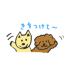 なかよしわんこ（個別スタンプ：8）