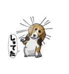 犬と猫と私（個別スタンプ：6）