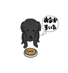 犬と猫と私（個別スタンプ：17）