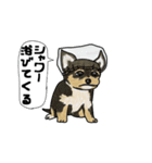 犬と猫と私（個別スタンプ：21）