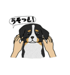 犬と猫と私（個別スタンプ：25）