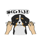 犬と猫と私（個別スタンプ：26）