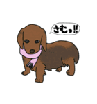 犬と猫と私（個別スタンプ：33）