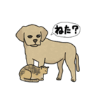 犬と猫と私（個別スタンプ：39）