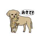 犬と猫と私（個別スタンプ：40）