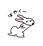 Usagi Bunny（個別スタンプ：13）