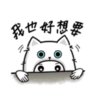 I love cats, meowoo~~ (part 2)（個別スタンプ：12）