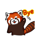 Red Panda "Pandy"（個別スタンプ：2）