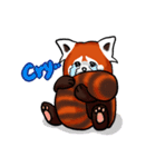 Red Panda "Pandy"（個別スタンプ：9）